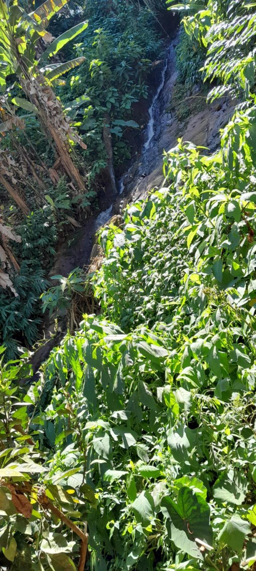 Cantinho Do Rio Penedo  Dış mekan fotoğraf